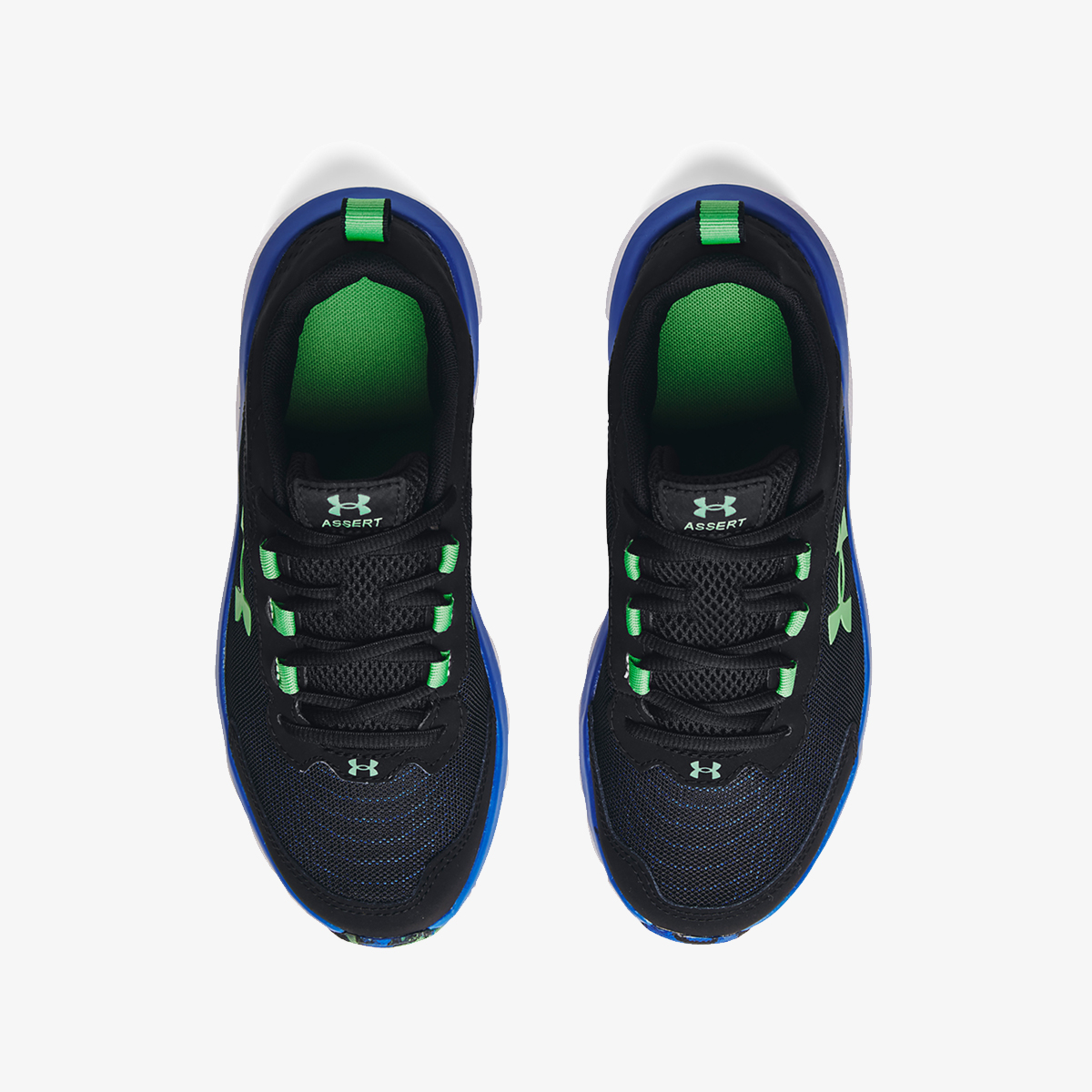 UA BGS ASSERT 9