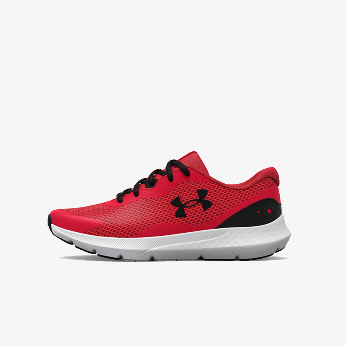 ua bgs surge rn