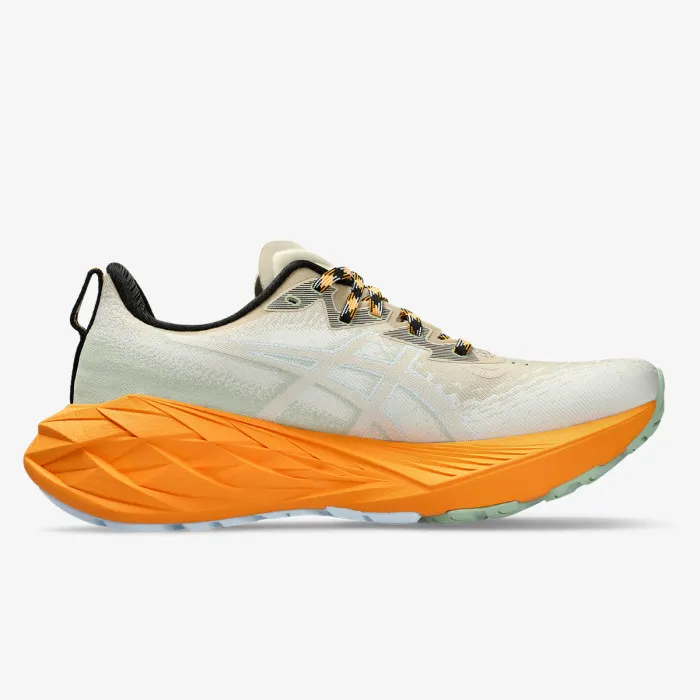 ASICS NOVABLAST 4 TR 