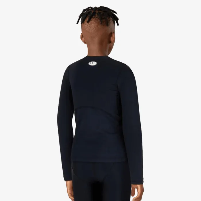 UNDER ARMOUR UA HG ARMOUR LS 1 