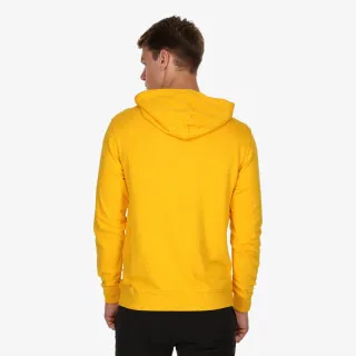 CHAMPION COLOR BLOCK HOODY