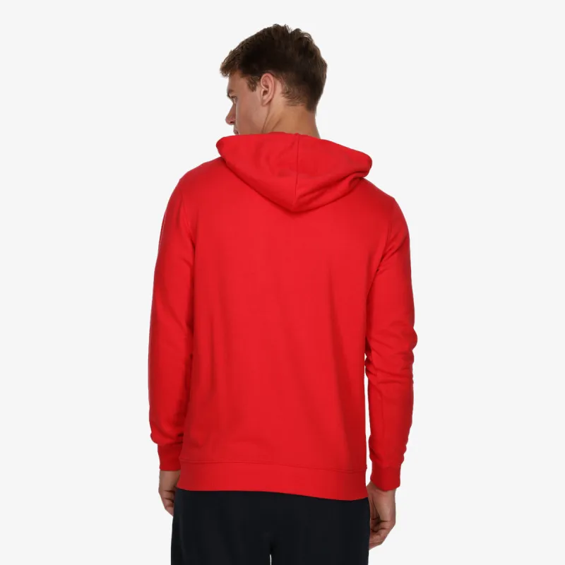 CHAMPION CLASSIC LABEL HOODY