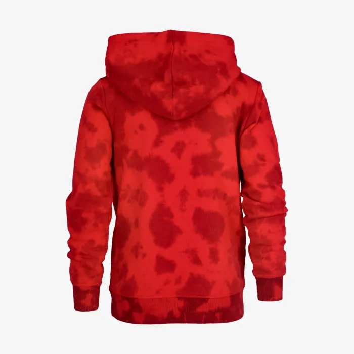 CHAMPION BOYS ROCH HOODY 
