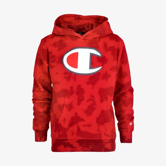 CHAMPION BOYS ROCH HOODY 