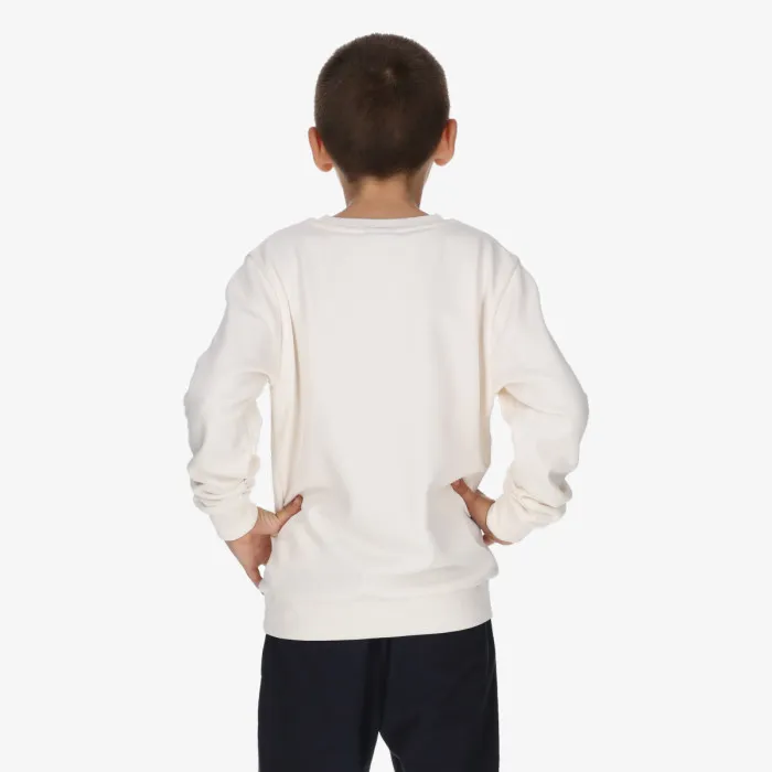 CHAMPION SKATE SWEATER B 