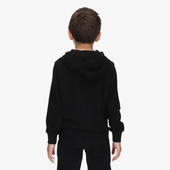 CHAMPION SKATE LIFE HOODY 