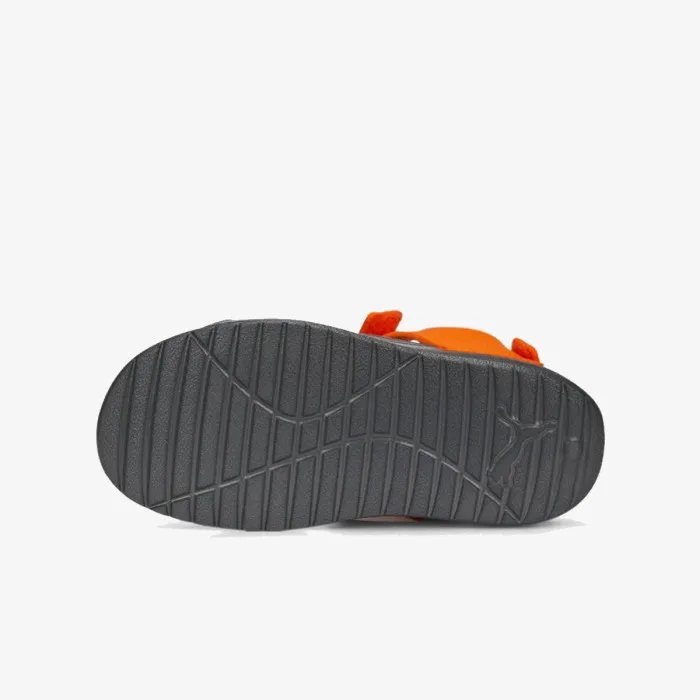 PUMA DIVECAT V2 INJEX PS 