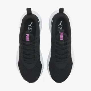 PUMA INCINERATE