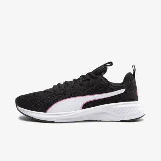 PUMA INCINERATE
