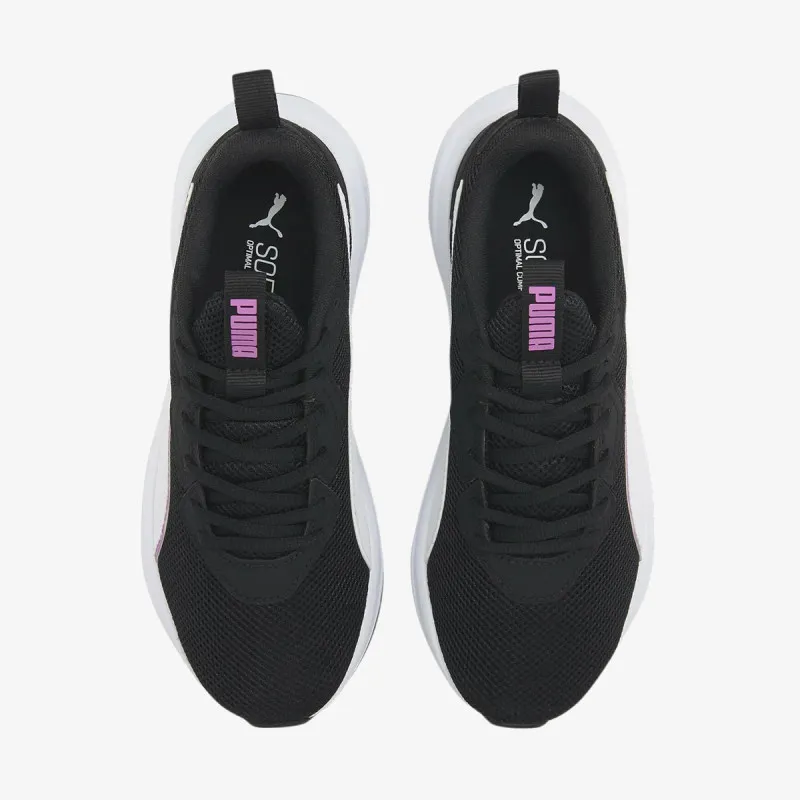 PUMA INCINERATE
