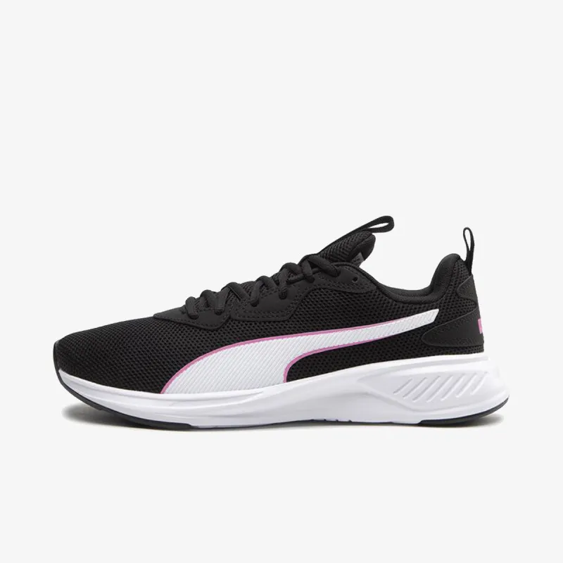 PUMA INCINERATE