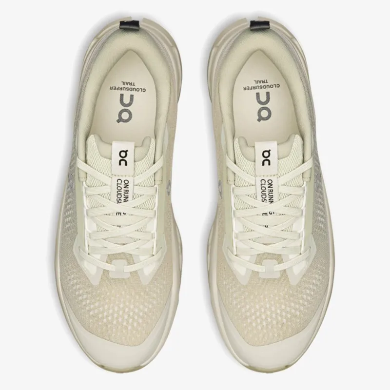 On Cloudsurfer Trail 2 