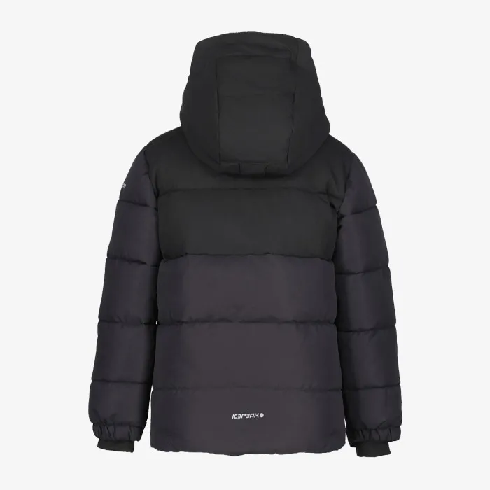 ICEPEAK ICEPEAK LOUIN JR 