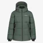 ICEPEAK ICEPEAK LOUIN JR 