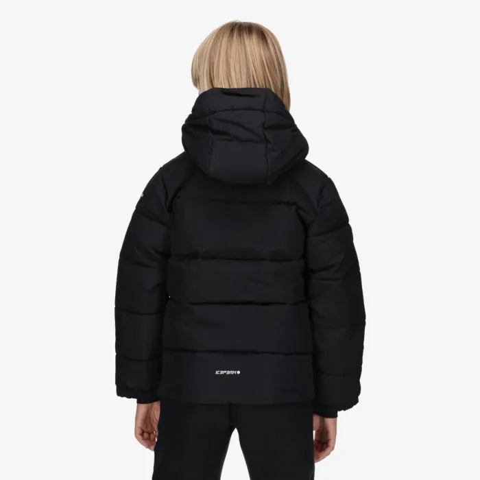ICEPEAK LOUIN JR 