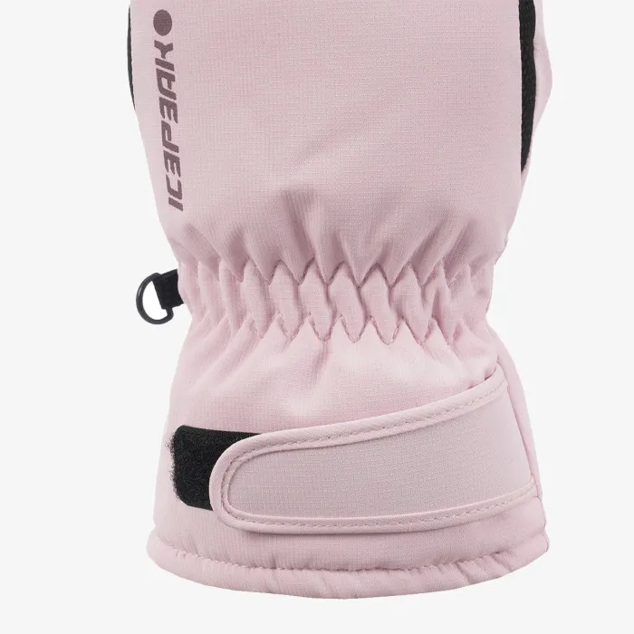 ICEPEAK ICEPEAK HAYDEN JR 