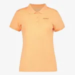 ICEPEAK ICEPEAK BAYARD 