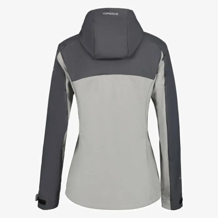ICEPEAK BRADENTON 
