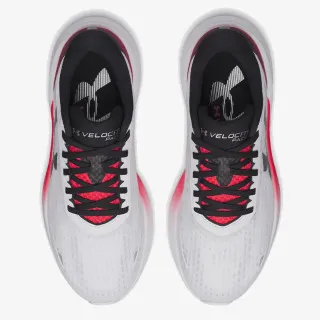UNDER ARMOUR UA Velociti Pace 