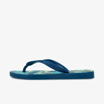 IPANEMA Temas X 