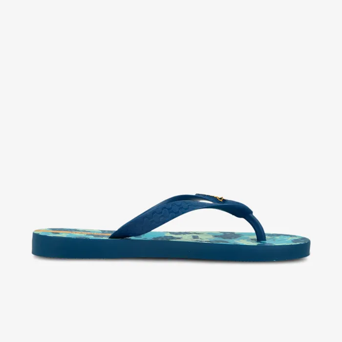 IPANEMA Temas X 