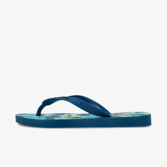 IPANEMA Temas X 