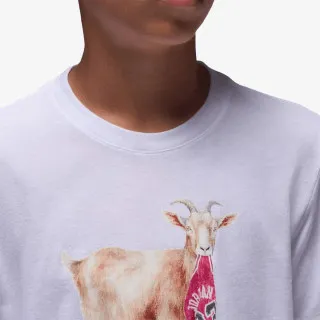 JORDAN JDB MJ FLT GOAT SS CREW