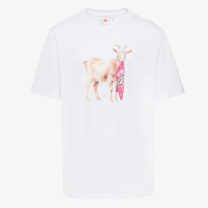 JORDAN JDB MJ FLT GOAT SS CREW 