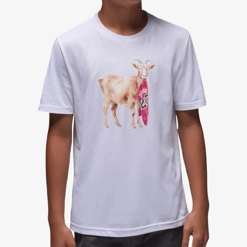 JORDAN JDB MJ FLT GOAT SS CREW