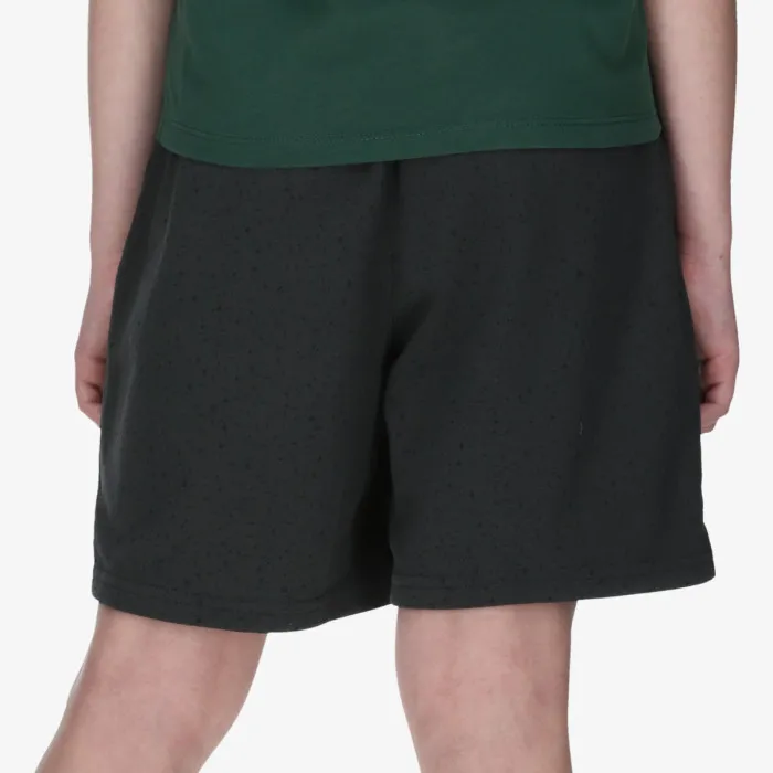 JORDAN JDB IN THE PAINT FT SHORT 