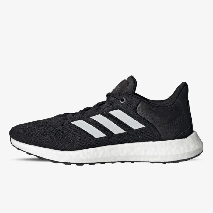 PUREBOOST 21 