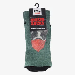 BUZZ BULLDOG SOCKS 