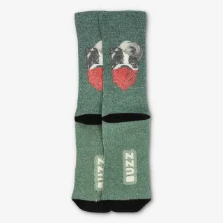 BUZZ BULLDOG SOCKS 