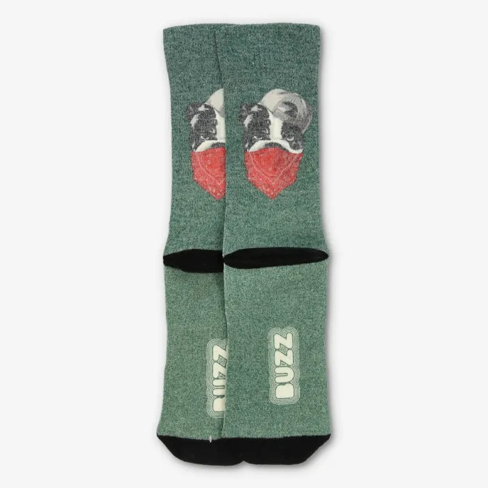 BUZZ BULLDOG SOCKS 