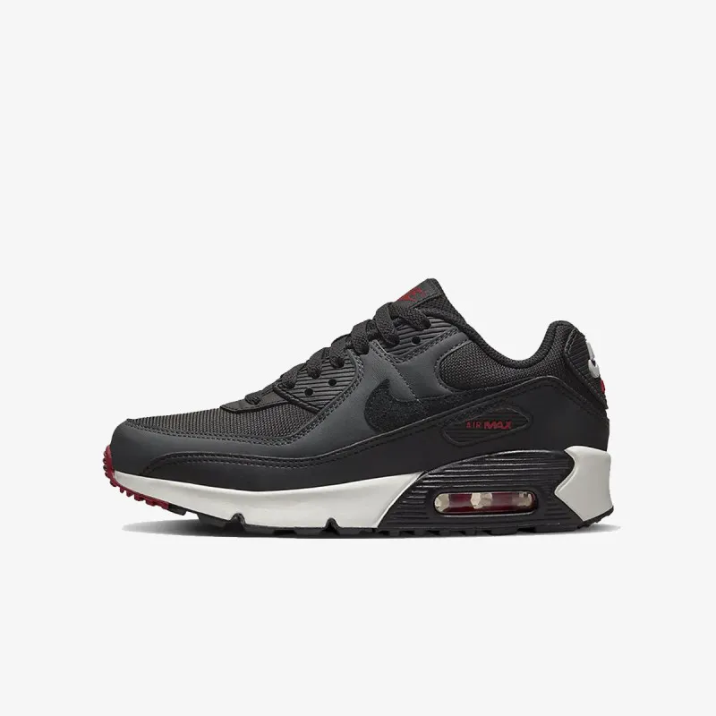Nike AIR MAX 90 LTR GS 