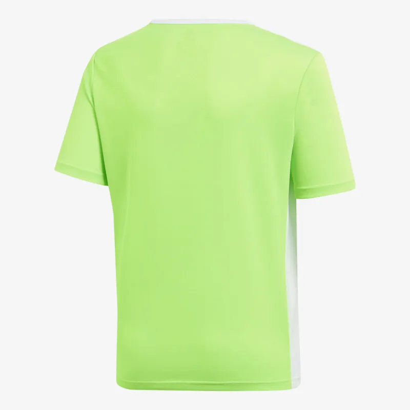 adidas C/O ENTRADA 18 JSYY
