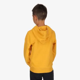 CHAMPION MODERN BASIC