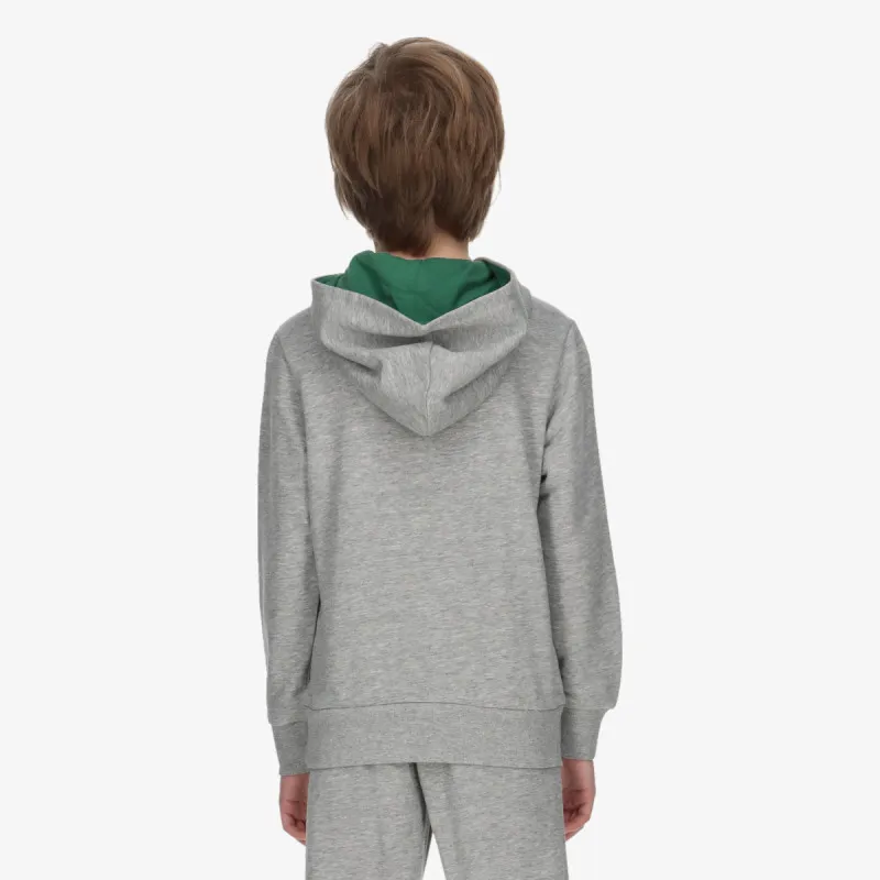 CHAMPION COLLEGE HOODY