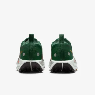 Nike REACTX PEGASUS TRAIL 5 GTX 