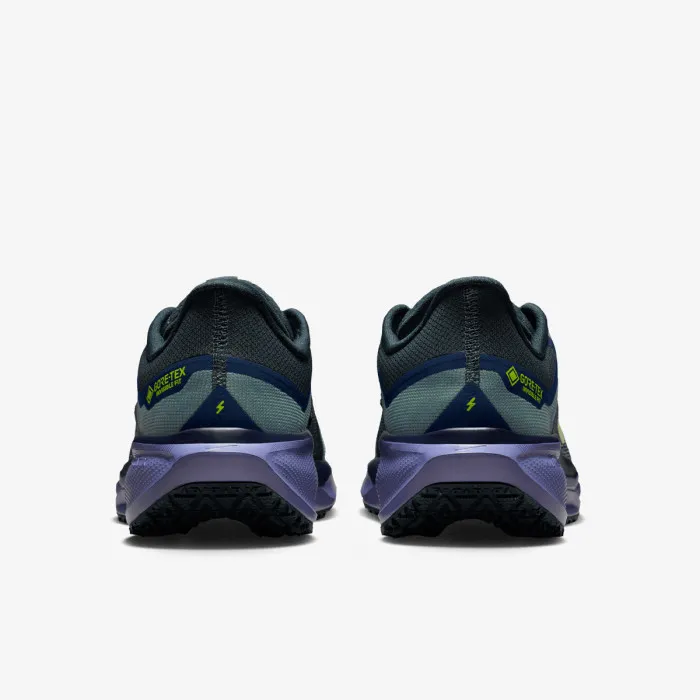 Nike AIR ZM PEGASUS 41 GTX 