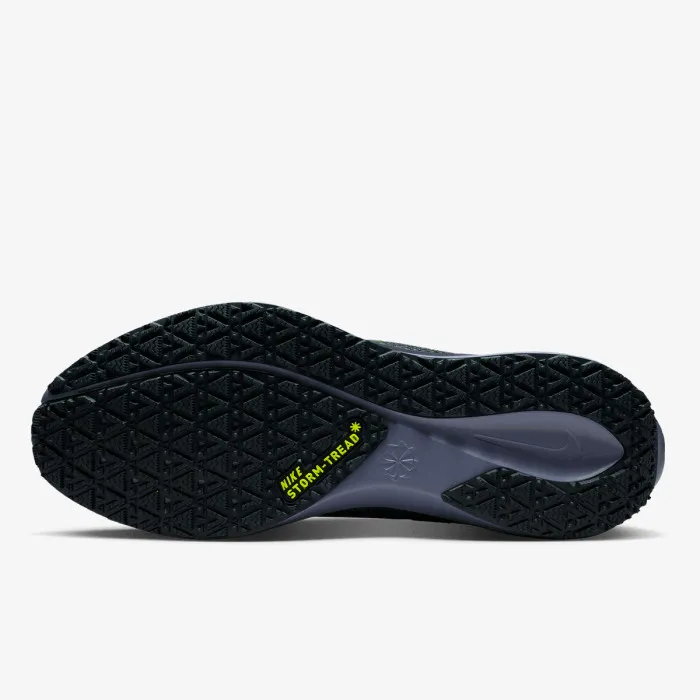 Nike AIR ZM PEGASUS 41 GTX 