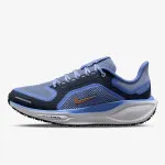 Nike W AIR ZM PEGASUS 41 GTX 