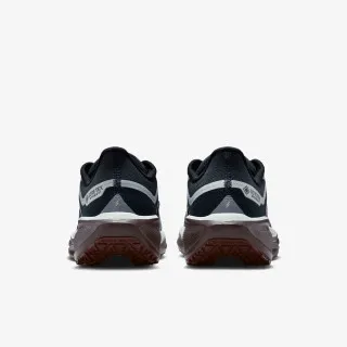 Nike W AIR ZM PEGASUS 41 GTX 