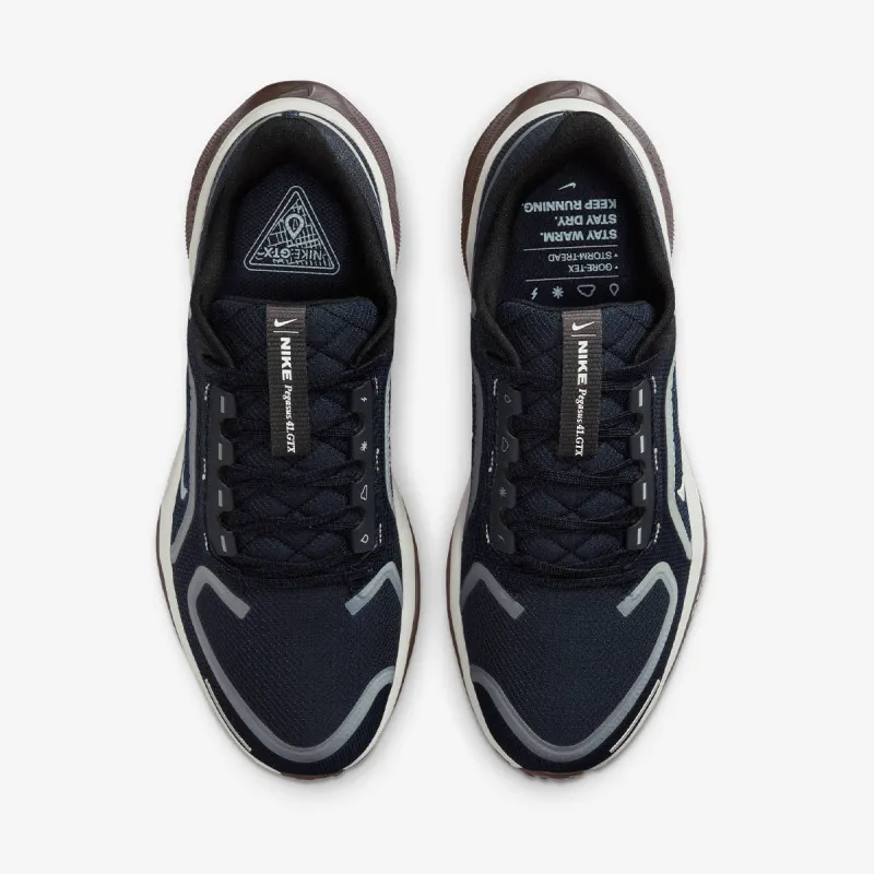 Nike W AIR ZM PEGASUS 41 GTX 