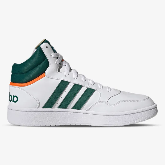 HOOPS 3.0 