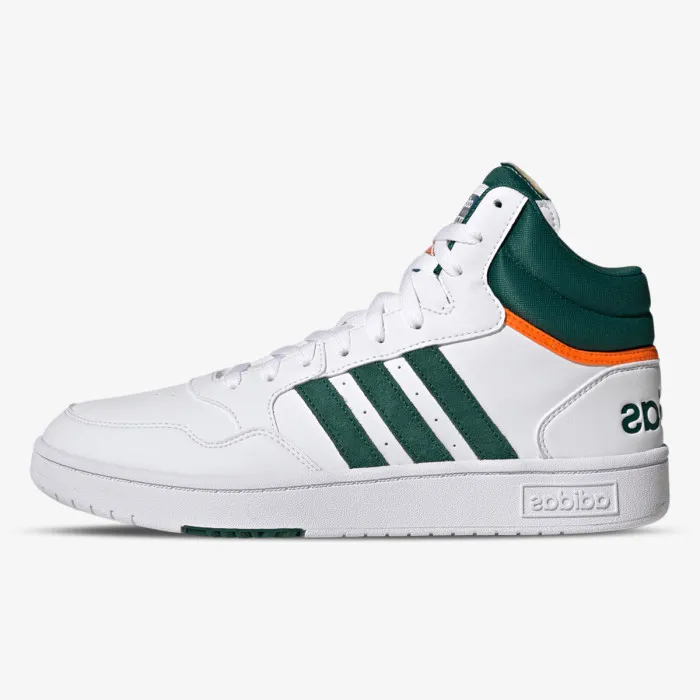 HOOPS 3.0 