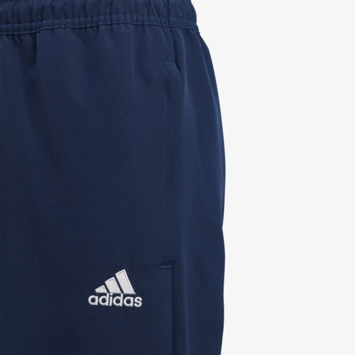 adidas ENT22 PRE PNT Y 