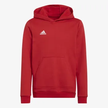 ENT22 HOODY Y 