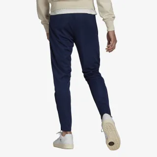adidas ENT22 TR PNT
