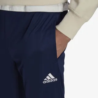 adidas ENT22 TR PNT